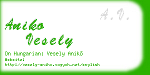 aniko vesely business card